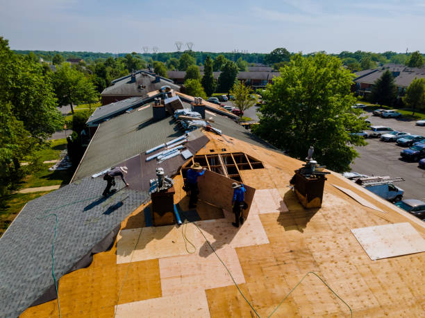 Trusted Roof Replacement service in Trenton, SC - Brentwood Metal Roofing